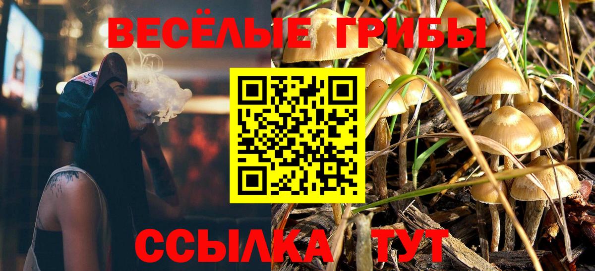 Галлюциногенные грибы Cubensis Черняховск