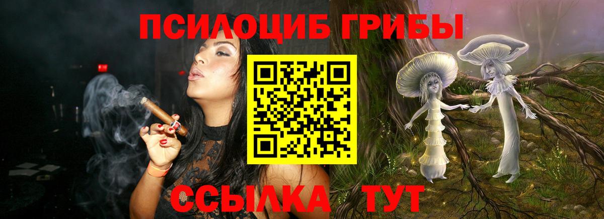 Черняховск  Псилоцибиновые грибы мицелий  Псилоцибиновые грибы Magic Shrooms  Вход с VPN 